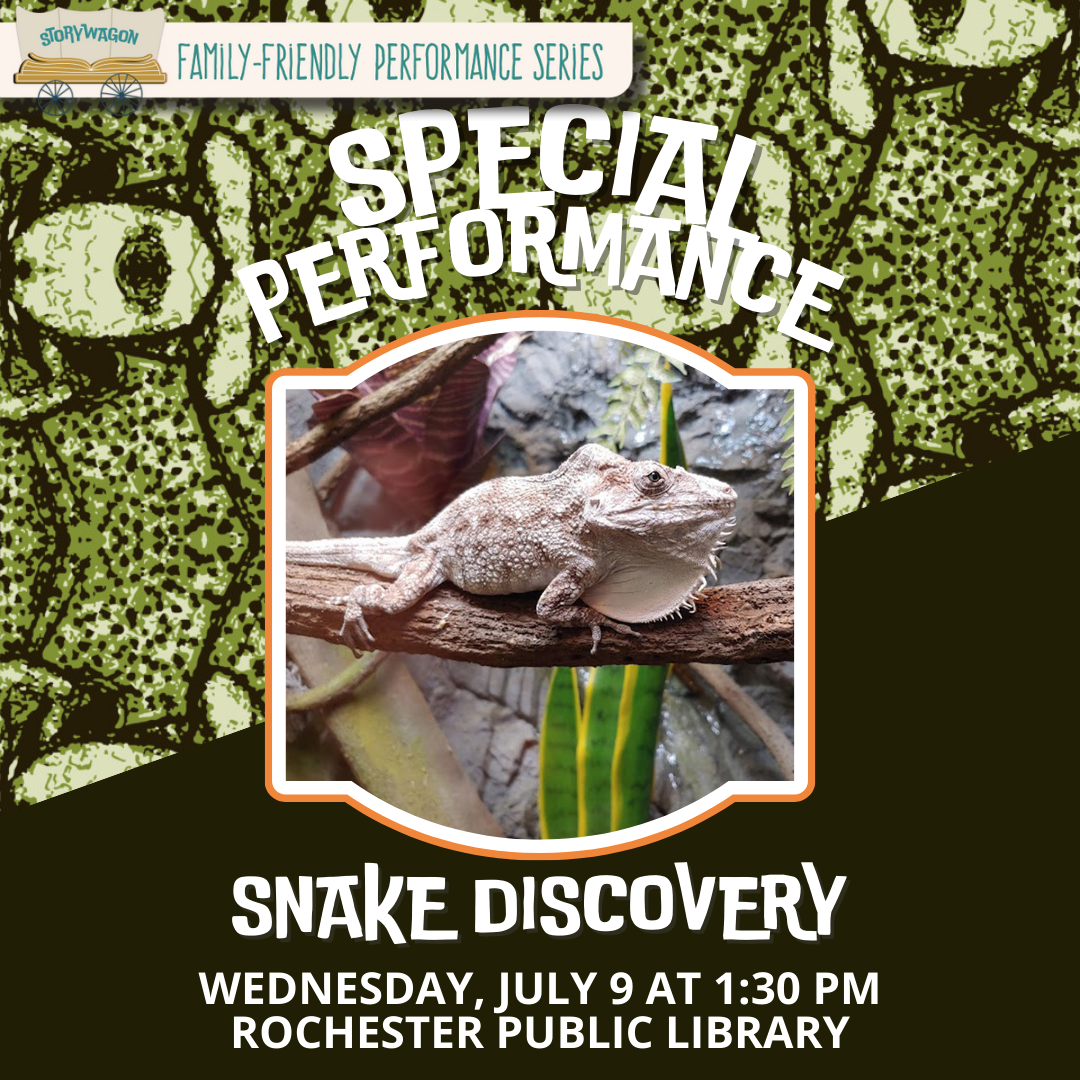 Snake picture decorative for program