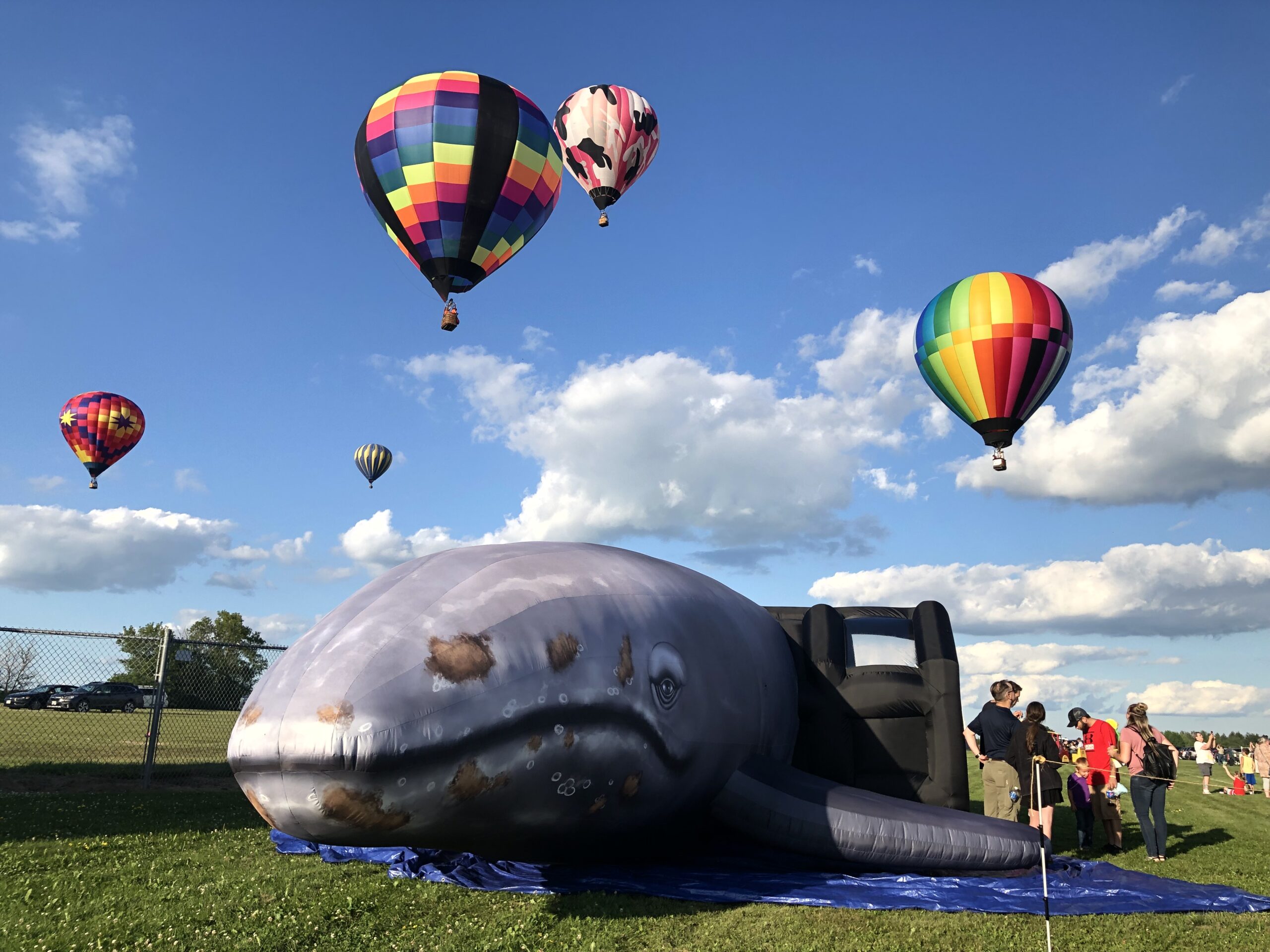 whale with hot air balloons image